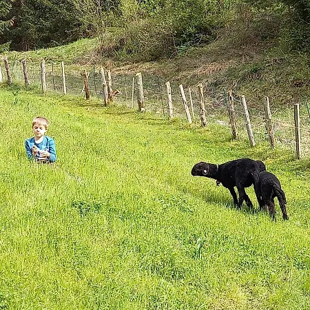 Weberbauer * Санкт-Мартин-бай-Лофер
