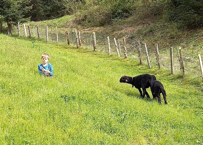 Weberbauer * Sankt Martin bei Lofer
